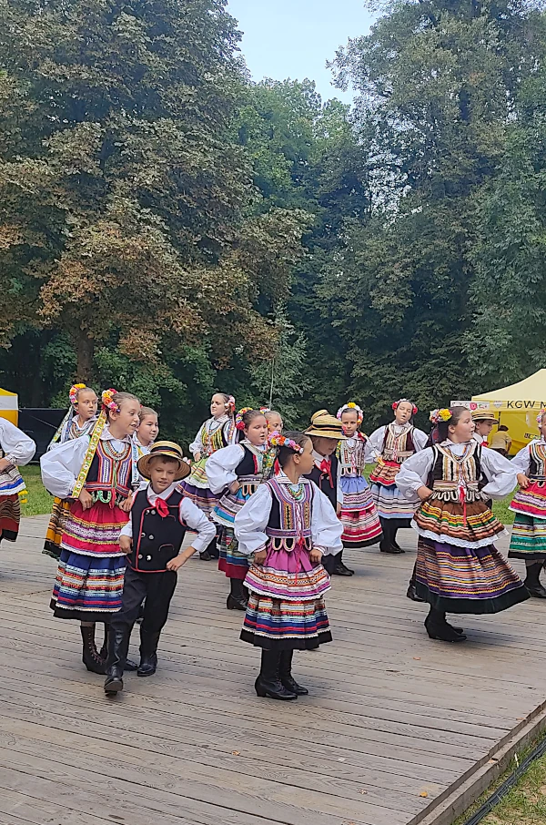 Zespół Pieśni i Tańca "Dąbrowica"